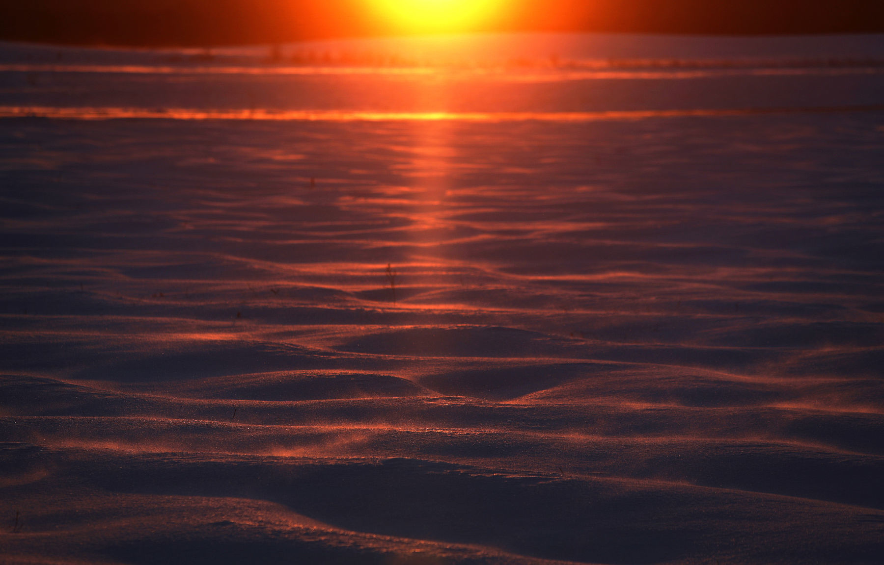 190130_COLD11